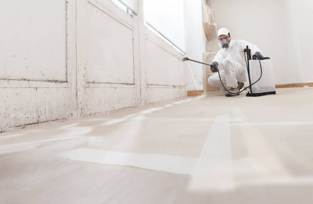 24/7 Emergency Commercial Mold Remediation experts in Lincoln, IL