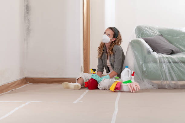 Reliable Commercial Mold Remediation contractor in Lincoln, IL by 24 Hour Mold Removal